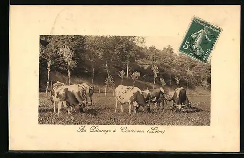 AK Contenson, Au Paturage