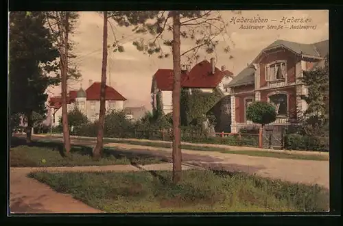 AK Hadersleben, Aastruper Strasse mit Bäumen