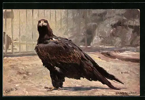 AK Adler vor Brunnen in einem Gehege