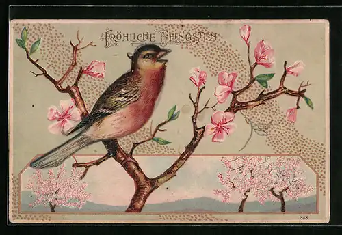 Präge-AK Vogel sitzt auf einem Ast mit Blüten, Pfingstgruss
