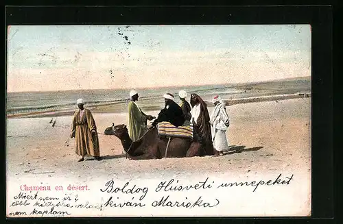 AK Chameau en désert, Araber mit Kamel in der Wüste