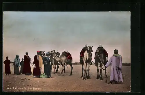 AK Camel drivers in the Desert