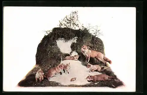 AK Füchsin mit Jungfüchsen am Bau, aus dem Museum für Natur- und Heimatkunde zu Magdeburg