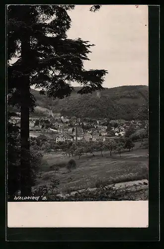 AK Waldkirch i. B., Gesamtansicht