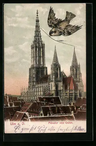 AK Ulm a. D., Münster von Osten gesehen