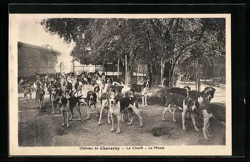 AK Cheverny, Chateau, Le Chenil, La Meute, Hunde