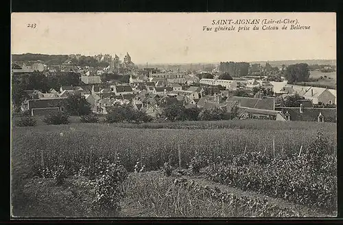 AK Saint-Aignan-sur-Cher, Vue generale prise du Coteau de Bellevue