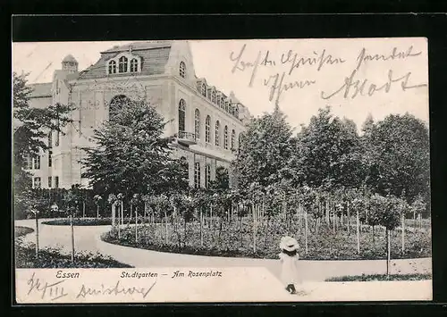 AK Essen, der Rosenplatz im Stadtgarten