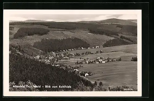 AK Altenfeld im Thüringer Wald, Gesamtansicht vom Kohlhieb aus