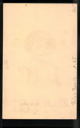 Lithographie Kinderportrait Prinz Boris von Bulgarien, Ganzsache