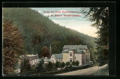 AK Friedrichroda, Kurhotel Waldschlösschen und Dr. Böhm`s Naturheilanstalt