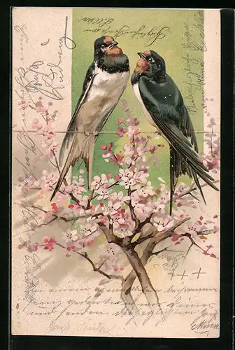 AK Zwei Vögel auf einem blühenden Blumenzweig sitzend