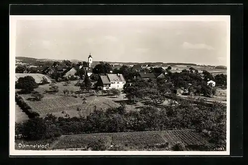 AK Dommelstadl, Gesamtansicht