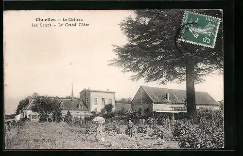 AK Chuelles, le Chateau, les Serres, le Grand Cédre