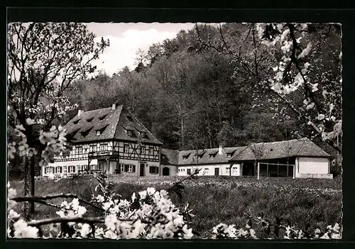AK Hersbruck / Frankenalb, Gewerkschafts-Jugendheim Hans Böckler