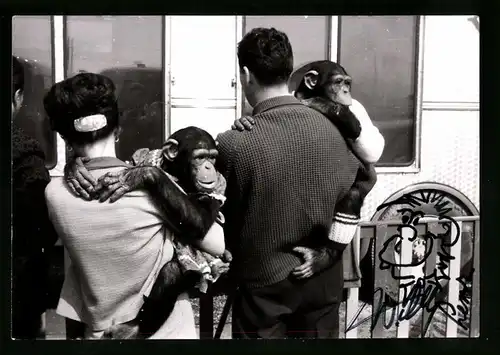 Fotografie Affe, Schimpanse, Tierpfleger mit Primaten im Arm