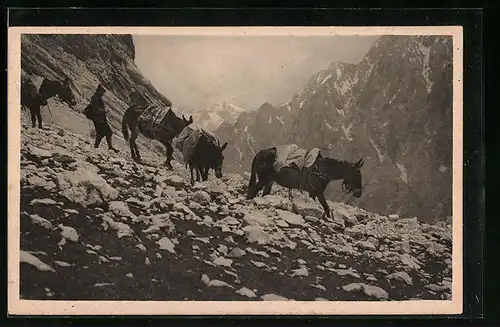 AK Mann mit Zugspitzeseln bei einer Wanderung im Rheintal: