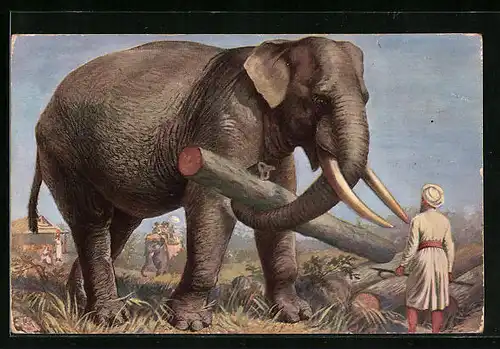 AK Elefant trägt einen Baumstamm im Rüssel