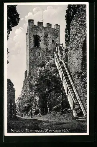 AK Regen /Bayr. Wald, Burgruine Weissenstein