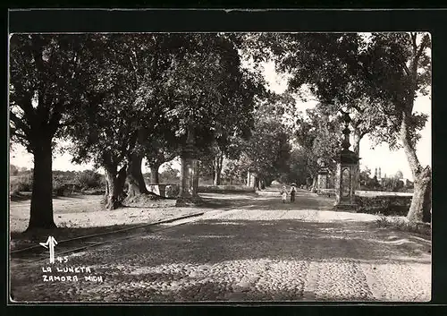 AK Zamora, MI, La Luneta