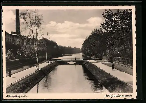 AK Königsberg in Fr., Schlossteichspromenade