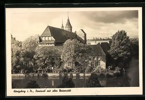 AK Königsberg, Dominsel mit alter Universität