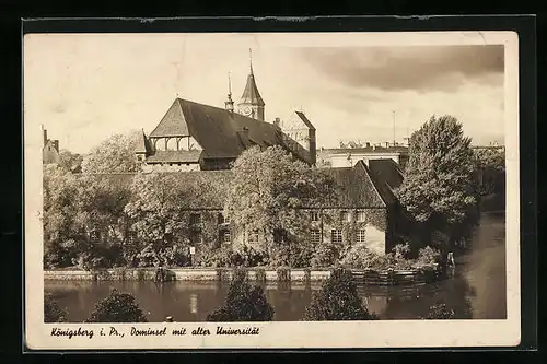 AK Königsberg, Dominsel mit alter Universität