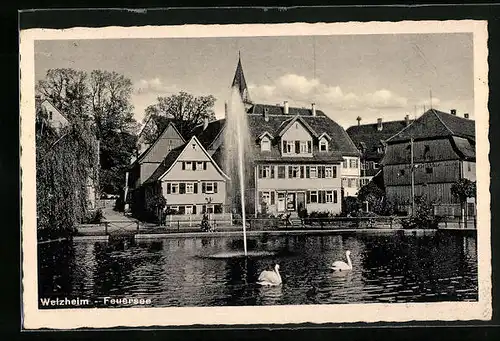 AK Welzheim, Feuersee mit Schwan