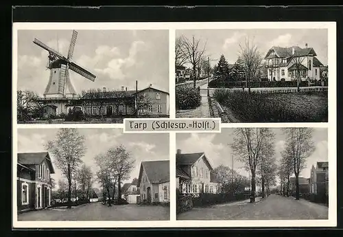 AK Tarp /Schlesw.-Holst., Strassenpartie, Windmühle, Villa