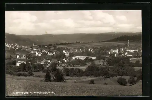 AK Steinenberg /Wttbg., Ortsansicht aus der Vogelschau