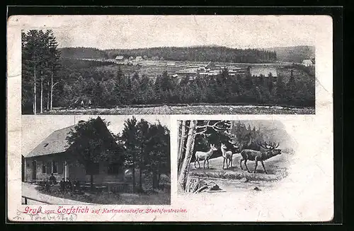 AK Hartmannsdorf, Gasthaus Torfstich auf Hartmannsdorfer Staatsforstrevier, Hirsch und Rehe, Teilansicht