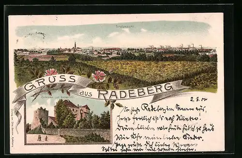 Lithographie Radeberg, Schloss, Amtsgericht, Totalansicht