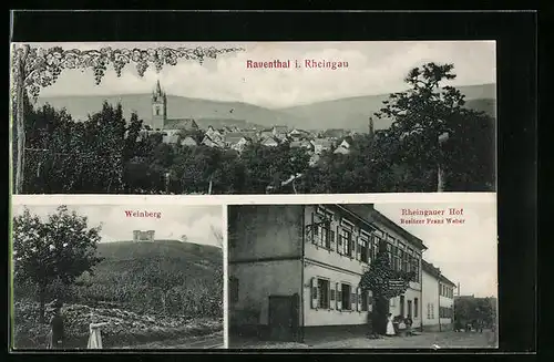 AK Rauenthal /Rheingau, Gasthaus Rheingauer Hof, Weinberg, Panorama