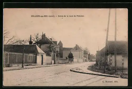 AK Chilleurs-aux-Bois, Entrée la route de Pithiviers