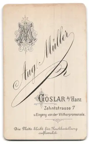 Fotografie August Müller, Goslar, Zehntstrasse 7, Junger Kerl mit Sakko und Fliege