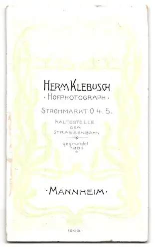 Fotografie Hermann Klebusch, Mannheim, Strohmarkt, Dame mit verziertem Kleid