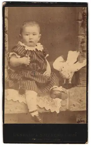 Fotografie Lienhard & Salzborn, Chur, Obere Gasse, Süsses Kleinkind im gestreiften Kleid