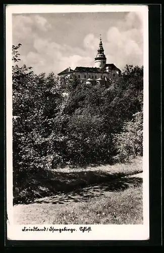 AK Friedland / Frydlant, Schloss aus der Ferne