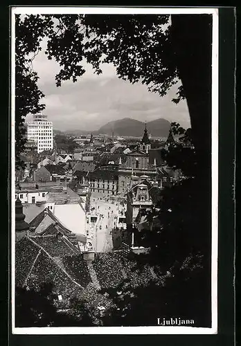 AK Ljubljana / Laibach, Panorama