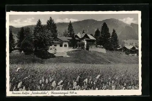 AK Oberammergau, Pension-Cafe Friedenshöhe