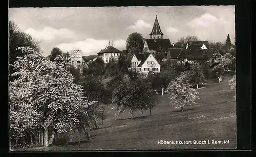 AK Buoch, Ortsansicht von einer Wiese aus