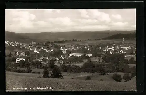 AK Steinenberg /Württ., Panorama des Ortes