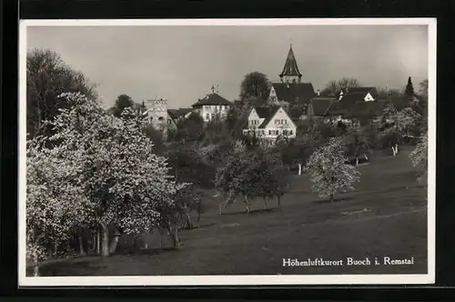 AK Buoch, Ortsansicht von einer Wiese aus