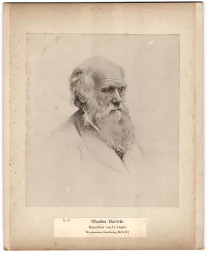 Fotografie Werckmeisters Kunstverlag, Berlin, Charles Dawrin nach H. Varges, Rückseite Goethe in Rom