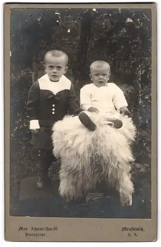 Fotografie Max Scharschmidt, Meuselwitz, zwei niedliche Kinder posieren auf einem Schaffell im Garten