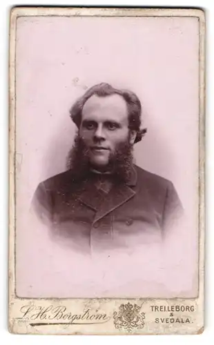 Fotografie L. H. Borgström, Trelleborg, Portrait Herr im Anzug mit wuchtigem Backenbart