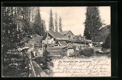 AK Schliersee, Die Wurzhütte am Spitzingsee