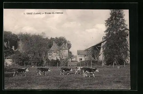 AK Thou, Ferme du Chateau