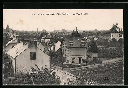 AK Chatillon-Coligny, La Vue Générale