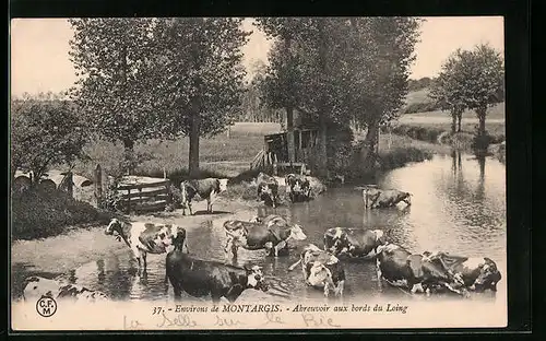 AK Montargis, Abreuvoir aux bords du Loing